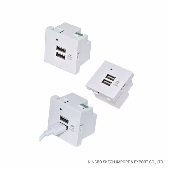 Module de chargement USB à double Port 5.0V/2,1a, chargeur rapide de Type a, prise de charge 45x45mm avec lumière LED